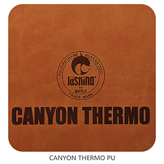 Canyon-logo