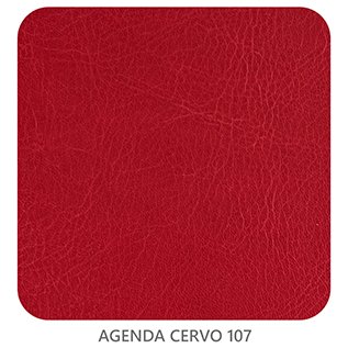AGENDA CERVO 107