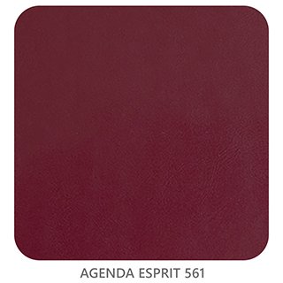 AGENDA ESPRIT 561