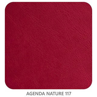 AGENDA NATURE 117