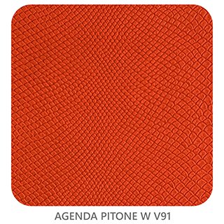 AGENDA PITONE W V91