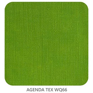 AGENDA TEX WQ66