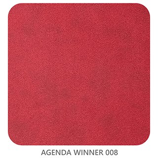 AGENDA WINNER 008