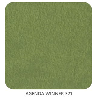 AGENDA WINNER 321