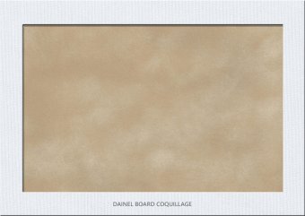 DAINEL BOARD COQUILLAGE
