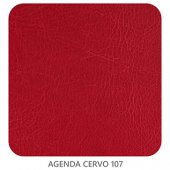 AGENDA CERVO 107