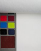 AGENDA CERVO BIANCO