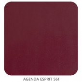 AGENDA ESPRIT 561