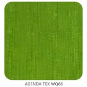 AGENDA TEX WQ66