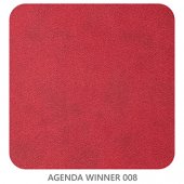 AGENDA WINNER 008