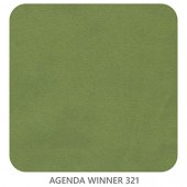 AGENDA WINNER 321