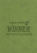 AGENDA WINNER 321