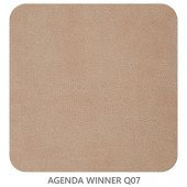 AGENDA WINNER Q07