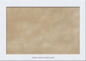 DAINEL BOARD COQUILLAGE