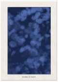 DAINEL CC NAVY