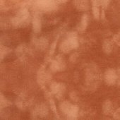 DAINEL SG CHAMOIS