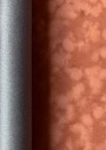 DAINEL SG CHAMOIS