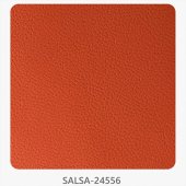 SALSA 24556 (BALATHANE)